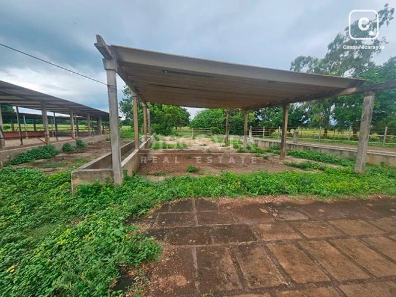 Finca en venta en Masaya – 4 hab, 3,175 m²