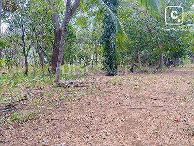 Terreno en venta en Granada – 30,000 varas²