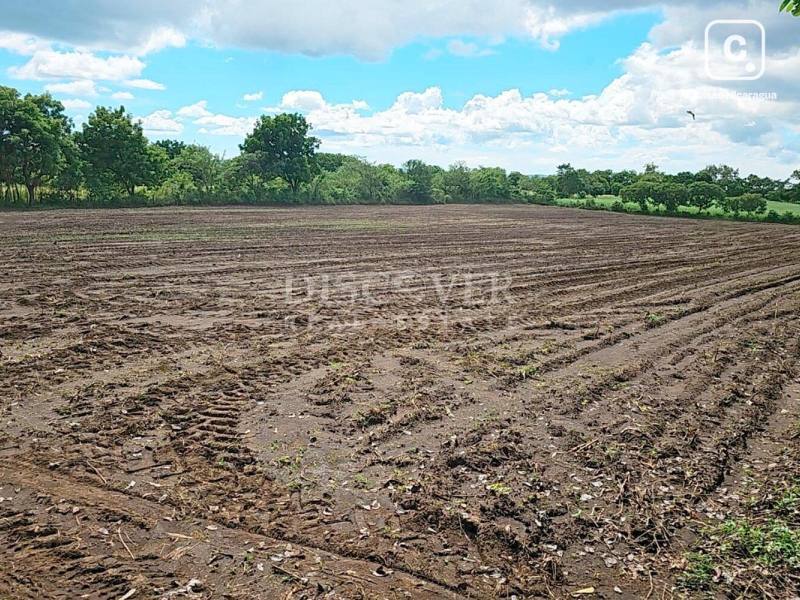 Finca en venta en León – 700,000 varas²