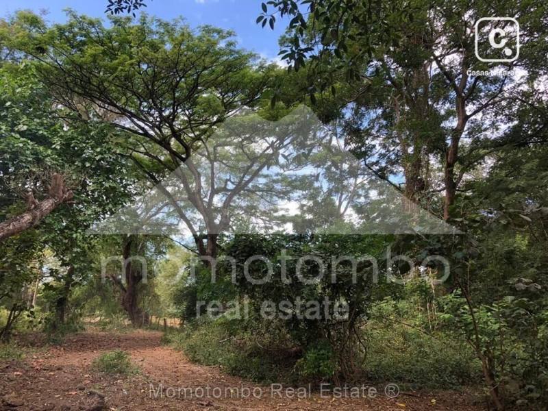 Finca en venta en León – 1 hab, 1,000,000 varas²