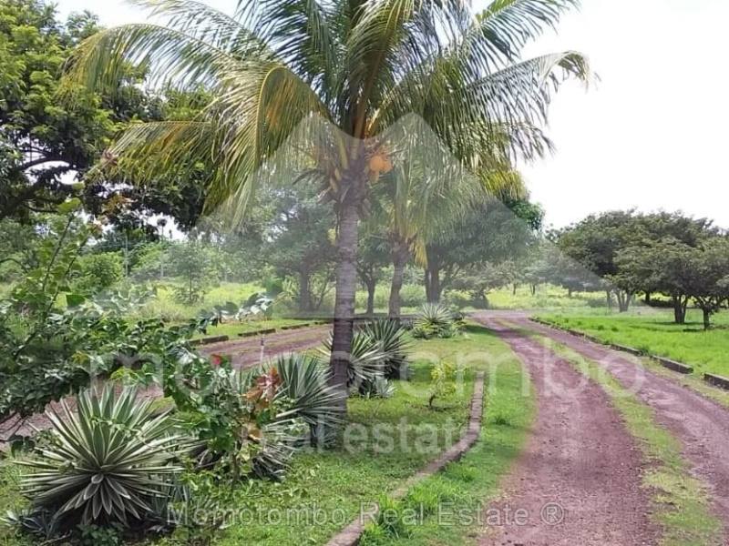 Terreno en venta en Granada – 1,529 varas²
