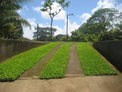 Terreno en venta en Carazo – 20,000 varas²