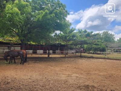 Finca en venta en Masaya – 19,201 varas²
