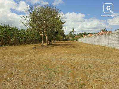 Terreno en venta en Santo Domingo, Managua – 6,500 varas²