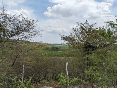 Finca en venta en Matagalpa – 340,000 varas²