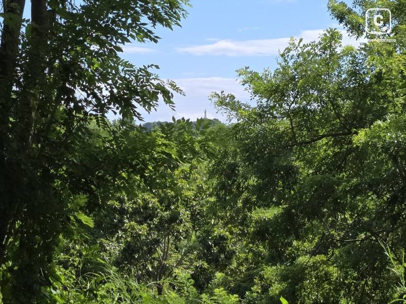 Terreno en venta en Rivas – 200,000 varas²