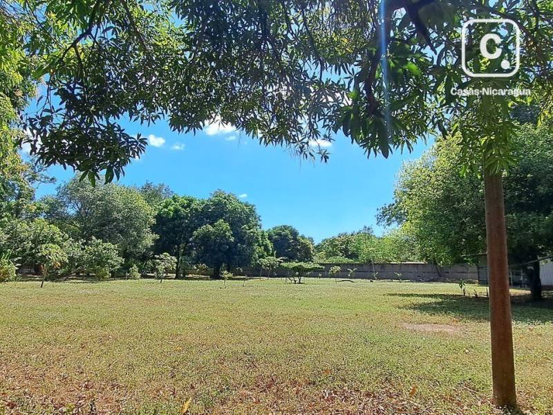Local comercial en venta en León – 12,000 varas²
