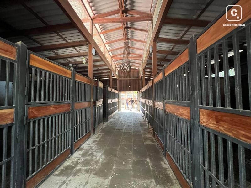 Finca en venta en Colonia Managua, Managua – 4 hab, 597 m²