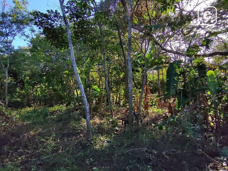 Terreno en venta en Niquinohomo, Masaya – 58,400 varas²