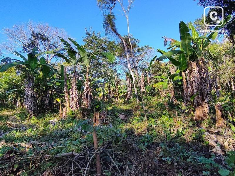 Terreno en venta en Niquinohomo, Masaya – 58,400 varas²