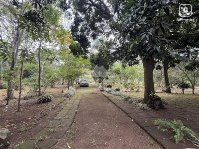 Finca en venta en Jinotepe, Carazo – 12,500 varas²