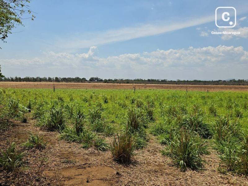 Finca en venta en León – 1,656,508 varas²