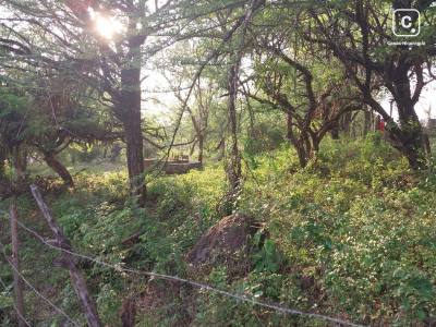 Terreno en venta en León – 2,356 varas²