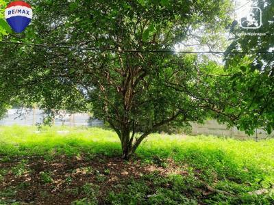Terreno en venta en Colonia Managua, Managua – 704 m²