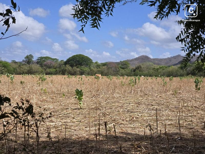 Finca en venta en Rivas – 10,136 varas²