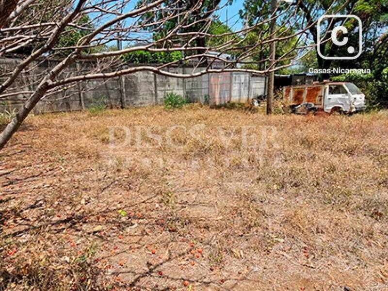 Terreno en alquiler en Planes de Altamira, Managua – 264 varas²