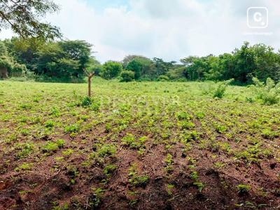 Terreno en venta en Carretera Sur, Managua – 46,809 varas²