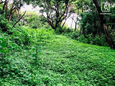 Terreno en venta en Carretera Sur, Managua – 8,633 varas²