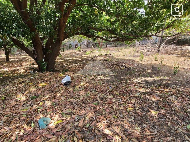 Terreno en alquiler en Carretera Sur, Managua – 700 varas²