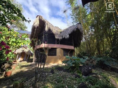 Finca en venta en Rivas – 4 hab, 57,920 varas²