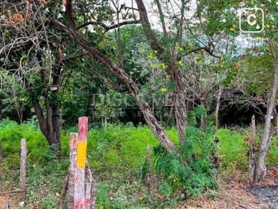 Terreno en venta en Rivas – 2,663 varas²