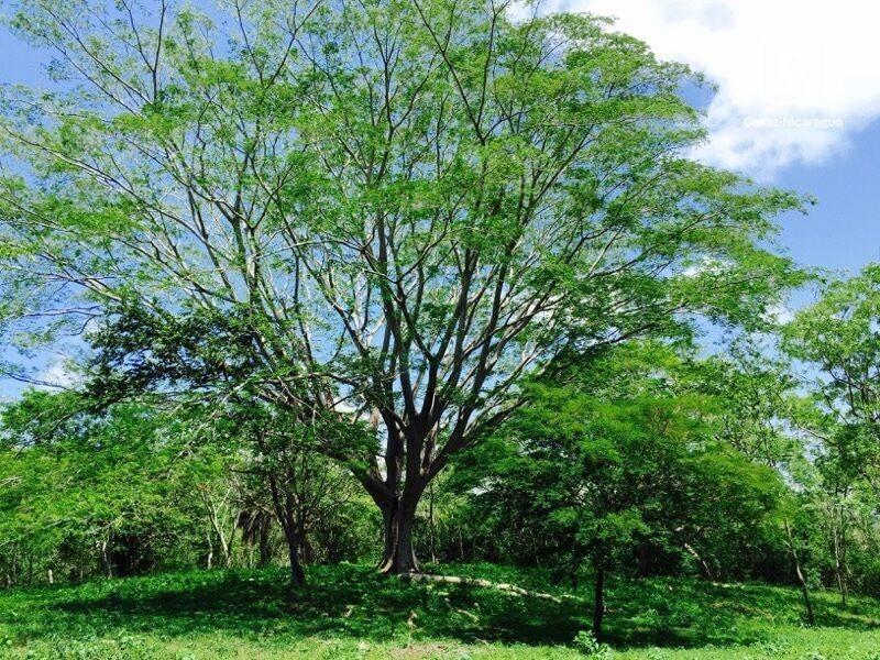 Lote de 895 m² en residencial ecológico junto a la reserva de Escamequita, San Juan del Sur