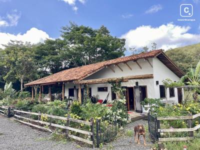 Finca de 3.29 hectáreas con dos casitas de alquiler, San Juan del Sur