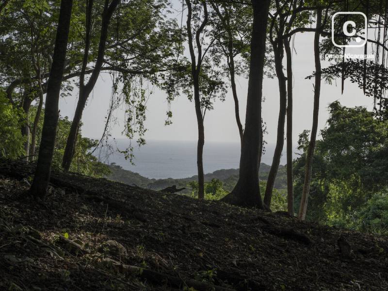 Terreno de 6,110 m² con vista al mar en Rancho Santana, Tola