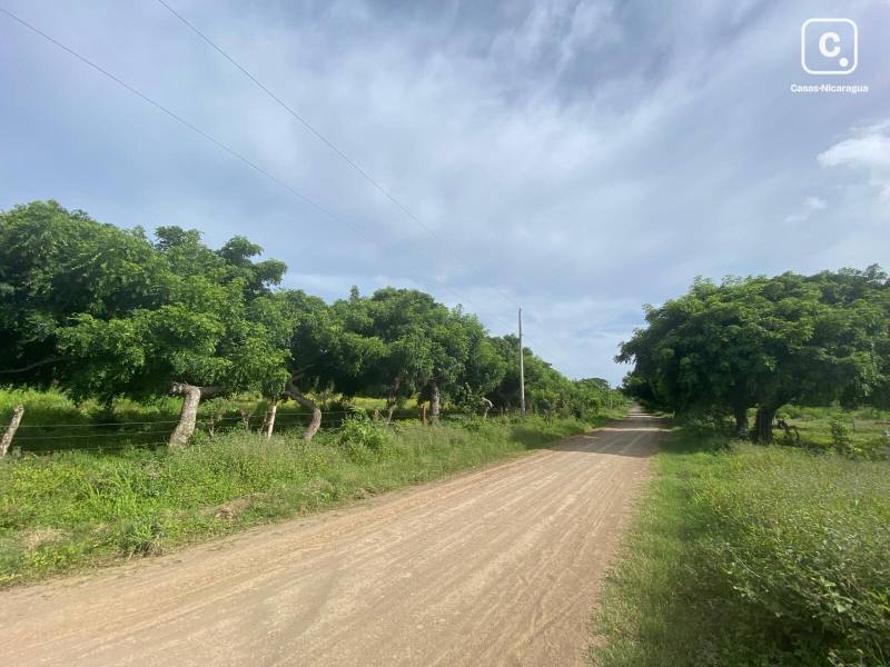 Terreno de 56,656 m² (14 acres) a 30 minutos de San Juan del Sur