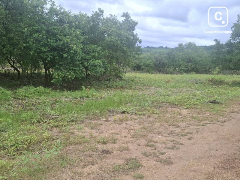 Terreno comercial de 1,000 m² en Playa Gigante, Tola
