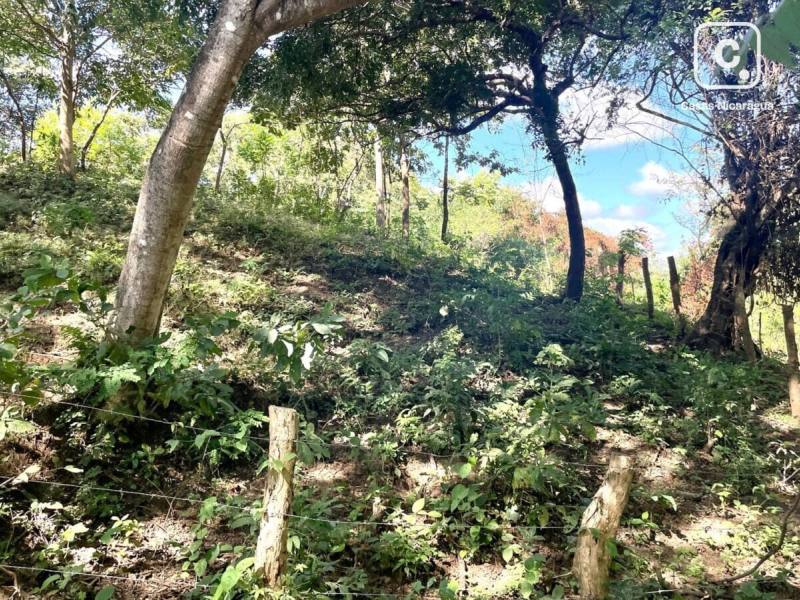 Terreno de 5,461 m² sin restricciones cerca de Playa Remanso, San Juan del Sur