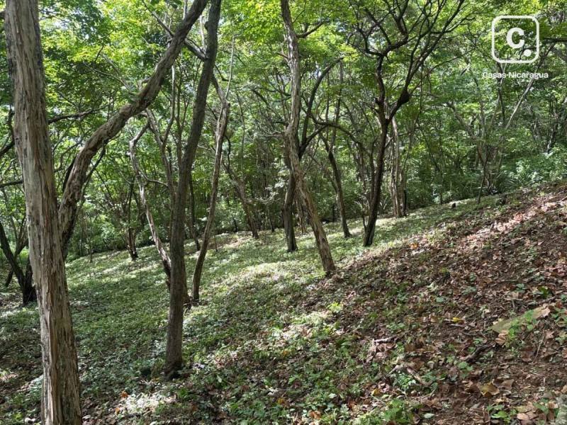 Terreno de 1,523 m² en Costa Dulce, a pasos de Playa Escameca, San Juan del Sur