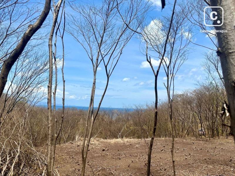 Terreno de 1,975 m² con vista al mar cerca de Playa Yankee, San Juan del Sur