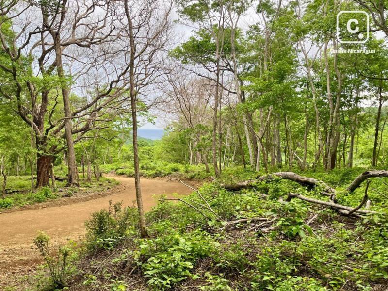 Terreno de 6,884 m² con vista al mar en Las Fincas de Escamequita, San Juan del Sur