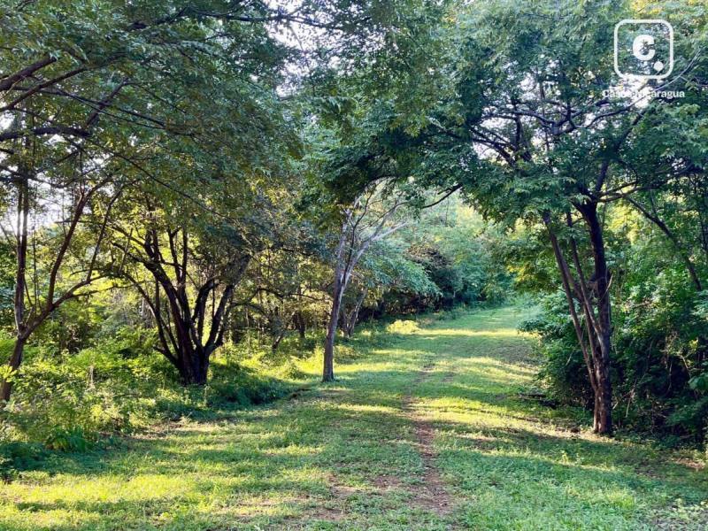 Terreno de 21,929 m² en comunidad fuera de red en Escamequita