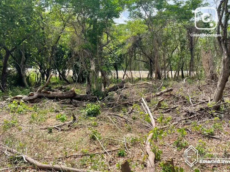 Terreno de 2,115 m² listo para construir cerca de Playa Gigante, Tola