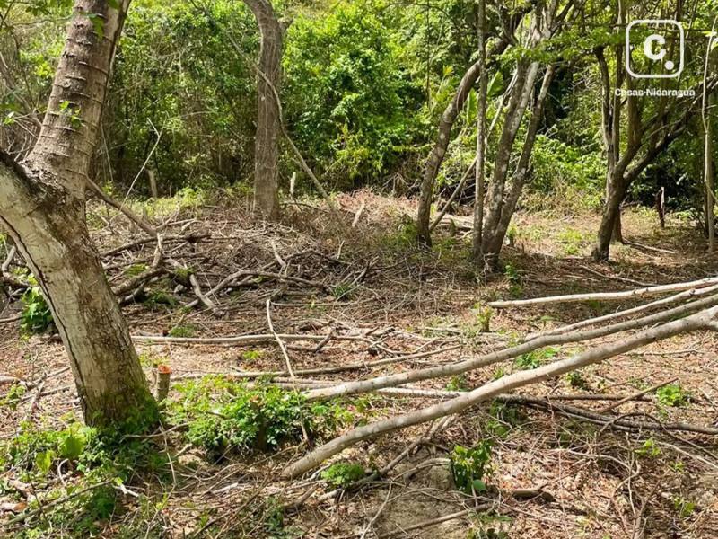 Terreno de 2,115 m² listo para construir cerca de Playa Gigante, Tola