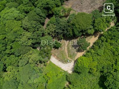 Terreno en venta en Tola, Rivas – 7,930 varas²