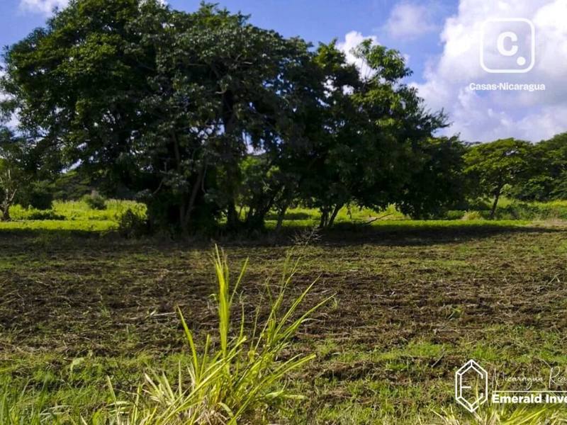 Terreno de 165,921 m² (41 acres) en 4 planos sobre Carretera Masaya, Nindirí