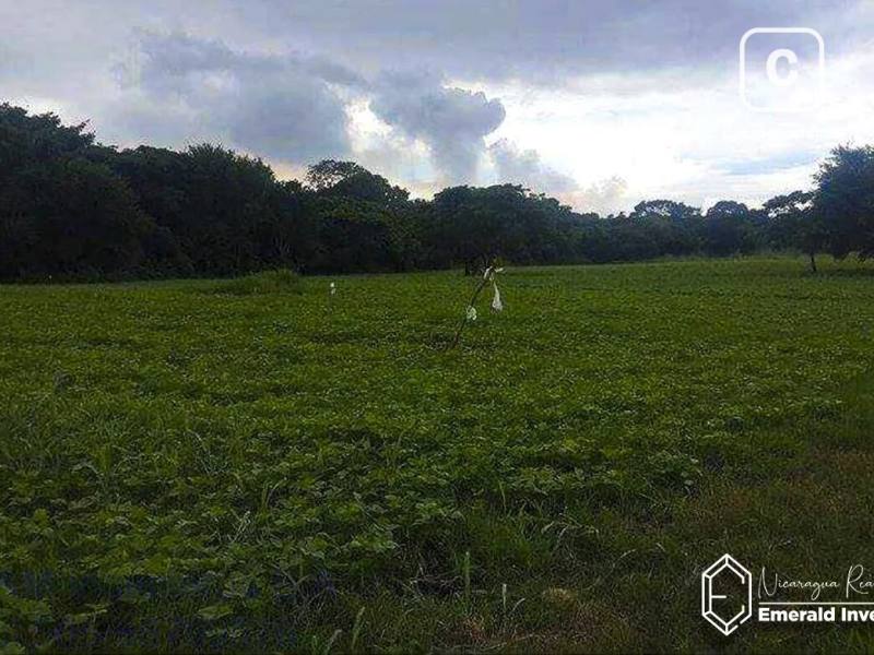 Terreno de 165,921 m² (41 acres) en 4 planos sobre Carretera Masaya, Nindirí