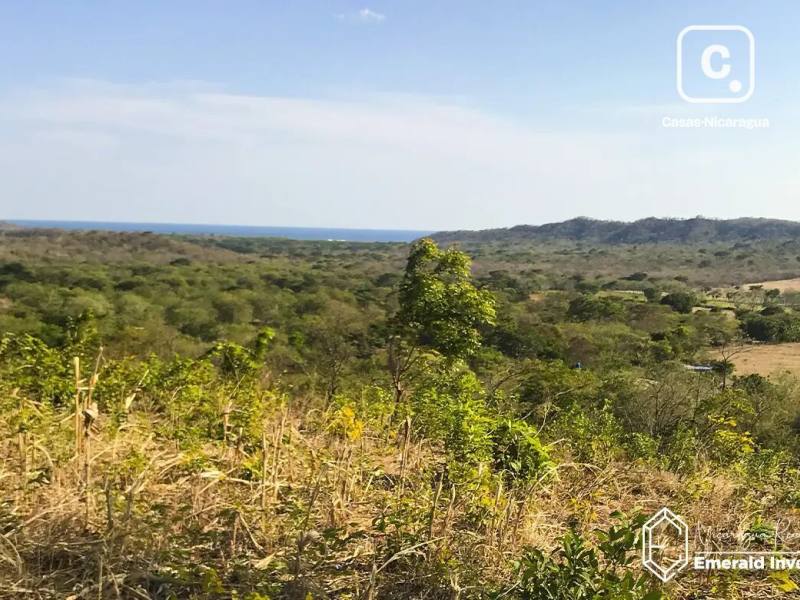 Terreno de 171,991 m² (25 manzanas) entre Rancho Santana y Hacienda Iguana