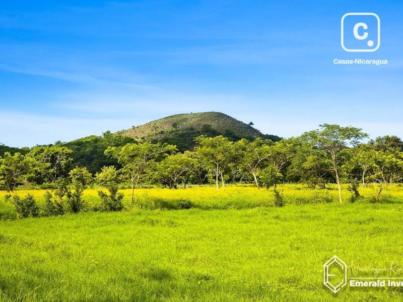 Terreno comercial de 8,404.67 m² en Los Mangos, Playa Popoyo, Tola