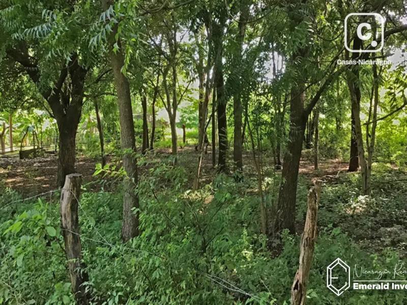 Terreno de 1,575 m² en Jiquiliste, a pasos de Playa Santana y Popoyo