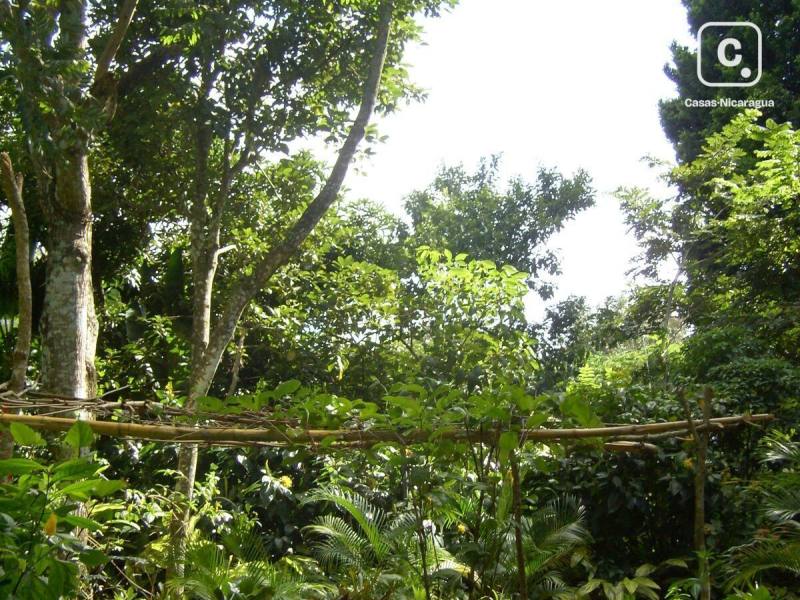 Terreno en venta en Catarina, Masaya – 7,500 varas²