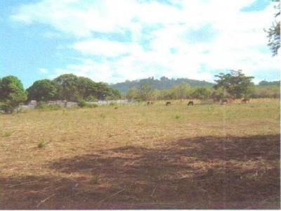 Terreno en venta en Managua – 14,600 varas²