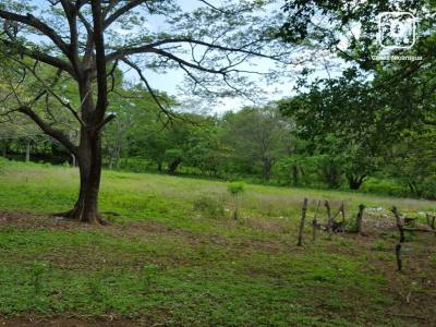 Terreno en venta en Managua – 21,000 varas²