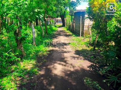 Terreno en venta en Isla de Ometepe, Rivas – 90 m²