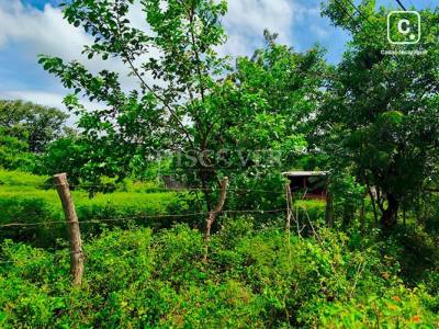 Terreno en venta en Isla de Ometepe, Rivas – 253 varas²