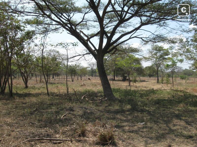 Terreno en venta en San Juan del Sur, Rivas – 129,499 m²