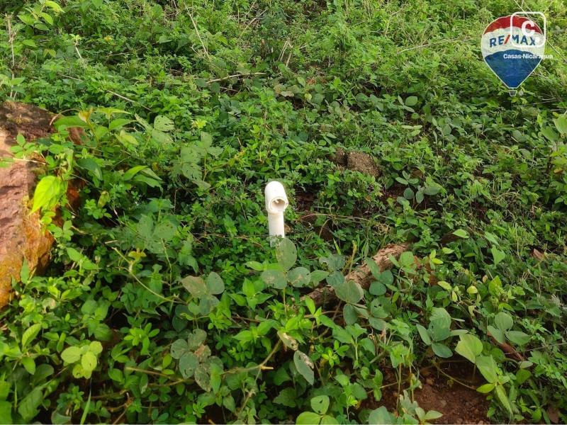 Terreno en venta en Managua – 133,802 m²